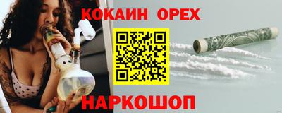 мдпв Гатчина
