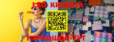 мдпв Гатчина