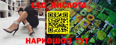 мдпв Гатчина