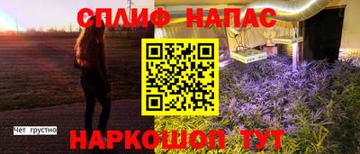 мдпв Гатчина