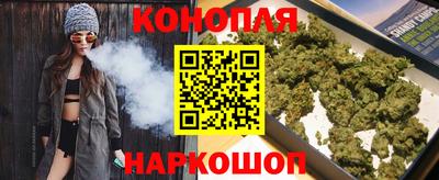 мдпв Гатчина
