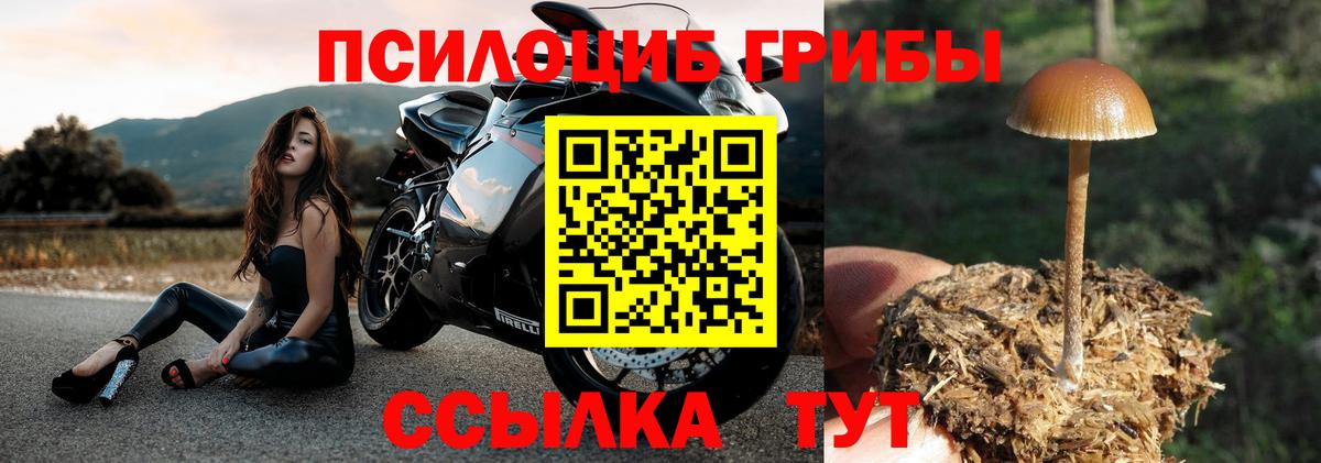 Галлюциногенные грибы GOLDEN TEACHER  Галлюциногенные грибы ЛСД  Вход с VPN  Можайск 